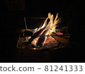 Camp Bonfire 81241333