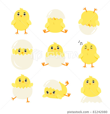 Cute vector set of baby chickens character Vector Cute vector set of baby chickens character Vector 81242080