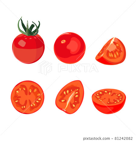 Collection of fresh cherry tomatoes Vector 81242082