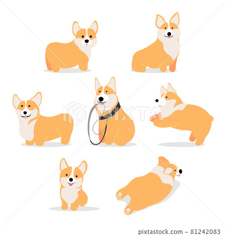 puppy, doggy, pup 81242083