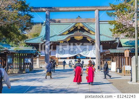 Japanese spring Yasukuni Shrine and cherry blossom scenery Japanese spring Yasukuni Shrine and cherry blossom scenery 81242243