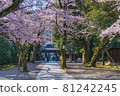 Japanese spring Yasukuni Shrine and cherry blossom scenery 81242245