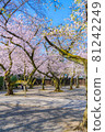 Japanese spring Yasukuni Shrine and cherry blossom scenery 81242249