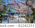 Japanese spring Yasukuni Shrine and cherry blossom scenery 81242253
