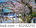 Japanese spring Yasukuni Shrine and cherry blossom scenery 81242255
