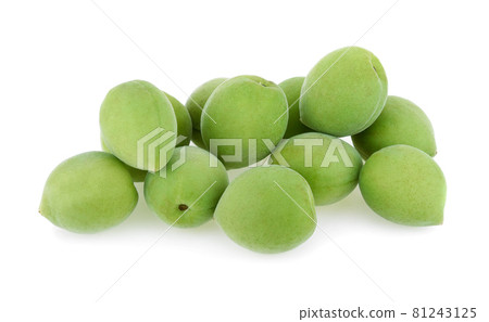 green plum fruit isolated on white background green plum fruit isolated on white background 81243125