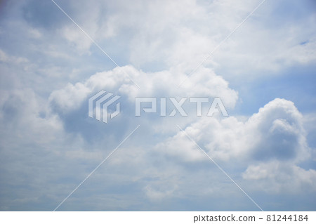 美麗的松鼠雲，藝術的松鼠雲，有趣的松鼠雲 81244184