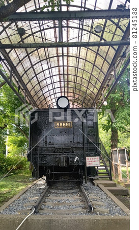 SL8620型蒸汽機車 SL8620型蒸汽機車 81245188