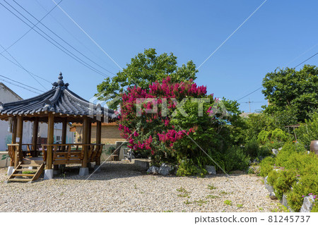 Baengnyeong島 Baengnyeong島 81245737