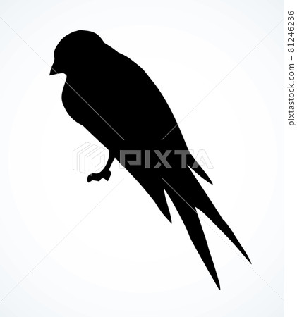 Swallows are sitting on a wire. Vector drawing 81246236