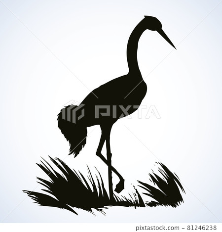 Vector background with pairs of storks in the nest 81246238
