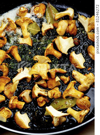 Chanterelles Fried in Pan 81246272