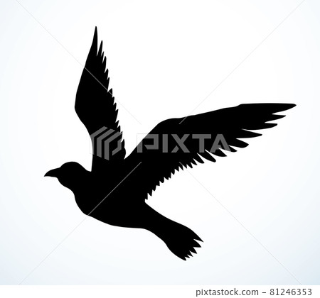 Bird in flight. Vector drawing 81246353