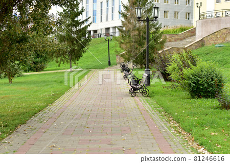 A path lined with paving slabs in a city park. 81246616