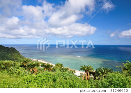 奄美大島：從今崎看到的安卡巴海 81246630