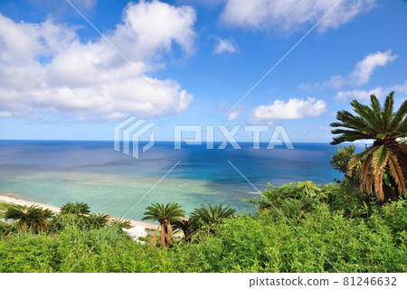 奄美大島：從今崎看到的安卡巴海 81246632