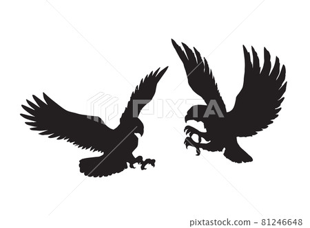 Eagle. Vector drawing Eagle. Vector drawing 81246648