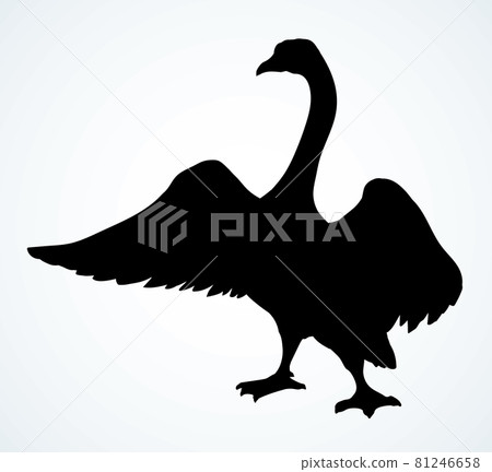 Goose in flight. Vector drawing 81246658
