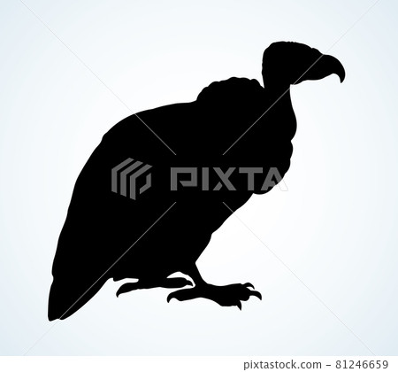 Vulture. Vector drawing icon sign 81246659