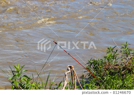 Catfish with Set line fishing alone the Niobrara River in Nebraska  81246670