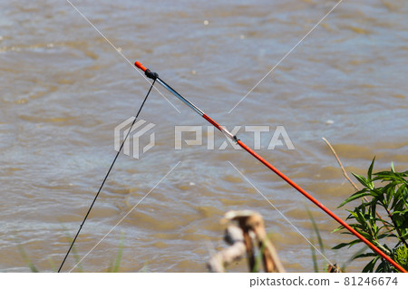 Catfish with Set line fishing alone the Niobrara River in Nebraska Catfish with Set line fishing alone the Niobrara River in Nebraska 81246674