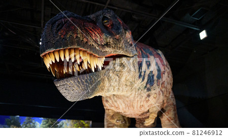Tyrannosaurus full-body robot Tyrannosaurus full-body robot 81246912