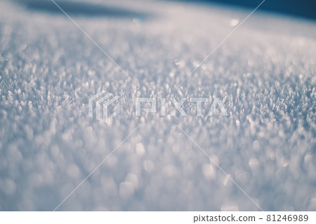Snowflake of snow Snowflake of snow 81246989