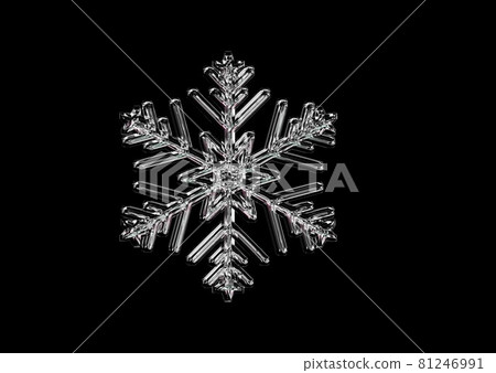 Snowflake on black background Snowflake on black background 81246991