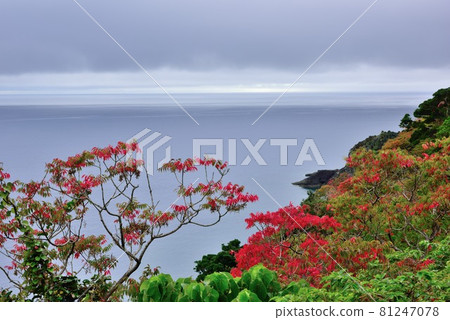 Unstable autumn weather 81247078