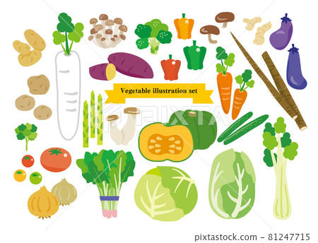 簡單的蔬菜插圖集 簡單的蔬菜插圖集 81247715