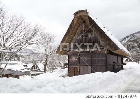 Traditional Gassho farmhouse at Shirakawa go village in winter, Japan 81247974