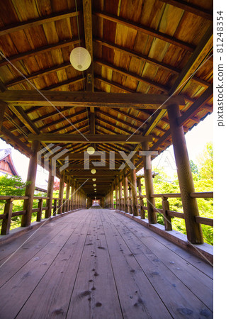 Fresh green of Tofukuji Temple 2021 Fresh green of Tofukuji Temple 2021 81248354