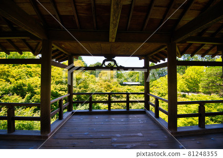 Fresh green of Tofukuji Temple 2021 Fresh green of Tofukuji Temple 2021 81248355