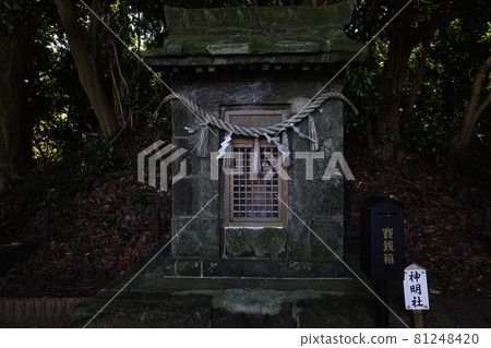 Shinmeisha 81248420
