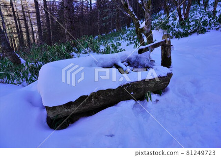 冬天內木山池山小屋附近的冰凍水域 冬天內木山池山小屋附近的冰凍水域 81249723