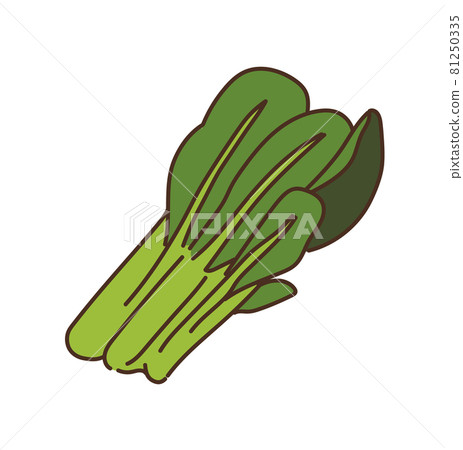 Komatsuna vegetables agricultural products illustration Komatsuna vegetables agricultural products illustration 81250335