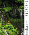 Toryu Falls and Otakara Kou 81250341