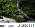Toryu Falls and Otakara Kou 81250345
