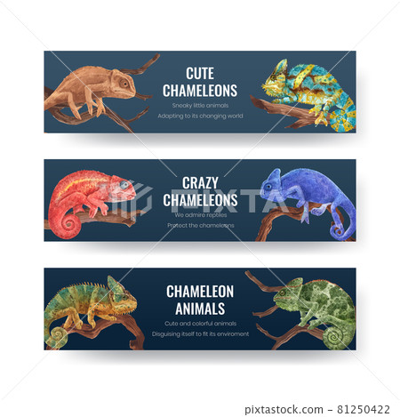 Banner template with chameleon lizard concept,watercolor style Banner template with chameleon lizard concept,watercolor style 81250422