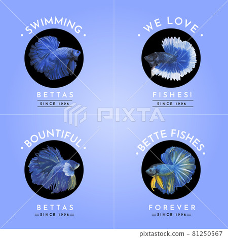 Logo design with betta fish concept,watercolor style Logo design with betta fish concept,watercolor style 81250567