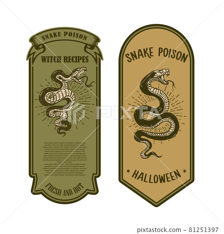 Halloween snake poison. Bottle label template. Design element for poster, card, banner, sign. Vector illustration 81251397