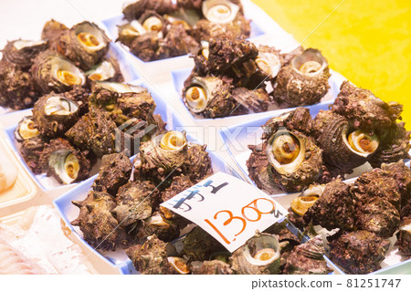 Sazae of the market 81251747
