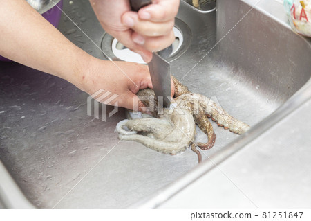 一個準備生章魚的人的手 一個準備生章魚的人的手 81251847