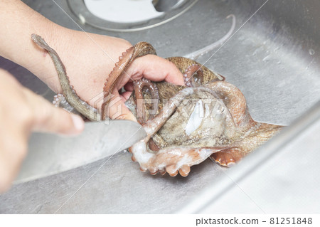 一個準備生章魚的人的手 一個準備生章魚的人的手 81251848