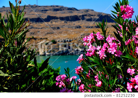 Rhodes, Lindos, Acropolis Flowers and Sea Rhodes, Lindos, Acropolis Flowers and Sea 81252230