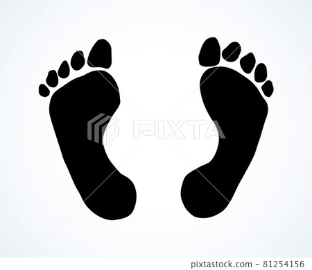 Foot. Vector drawing 81254156