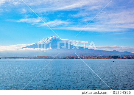 富士山(11月,河口湖,晴天) 富士山(11月,河口湖,晴天) 81254596