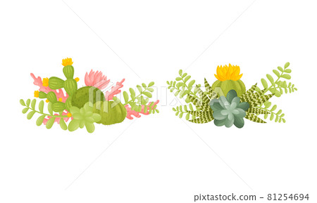 Blooming cactuses and succulents set. Desert plants among sand, floral decor vector illustration 81254694