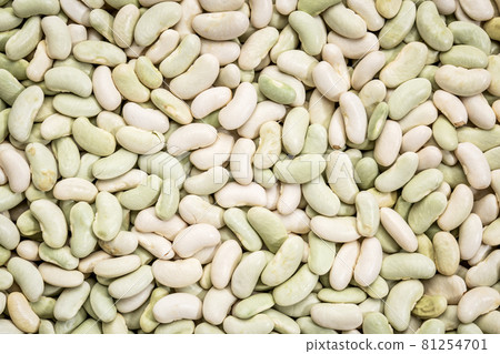 flageolet bean background flageolet bean background 81254701