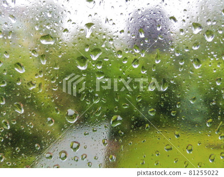 Raindrops on a window in a rainy day, blurry green background Raindrops on a window in a rainy day, blurry green background 81255022